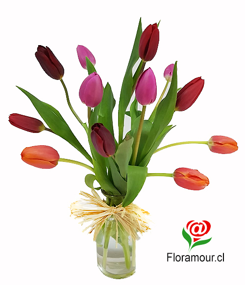 Florero de vidrio con 12 tulipanes
El color de los tulipanes podría variar según stock
Sólo en Santiago y comunas cercanas.